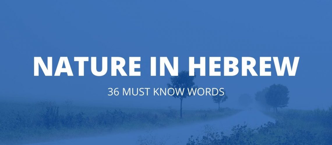 Nature in Hebrew 36 Must Know Words Pronunciation